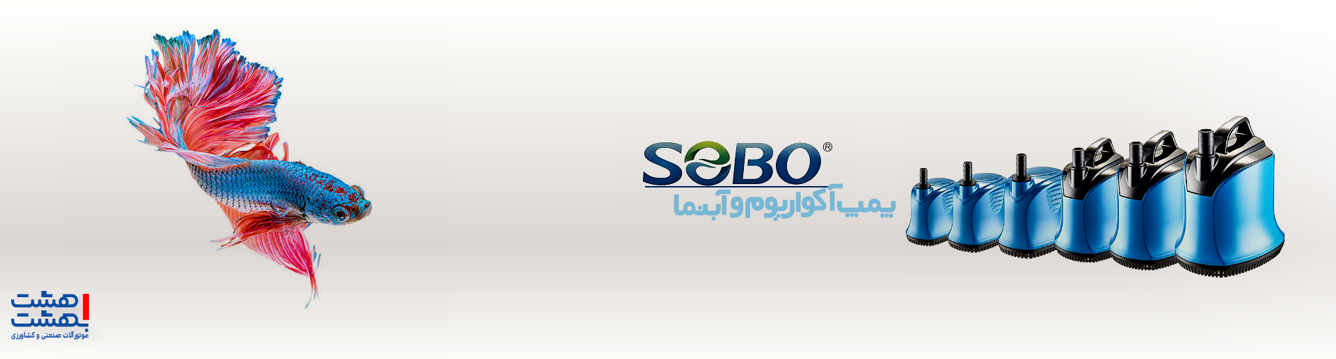 baner aqua